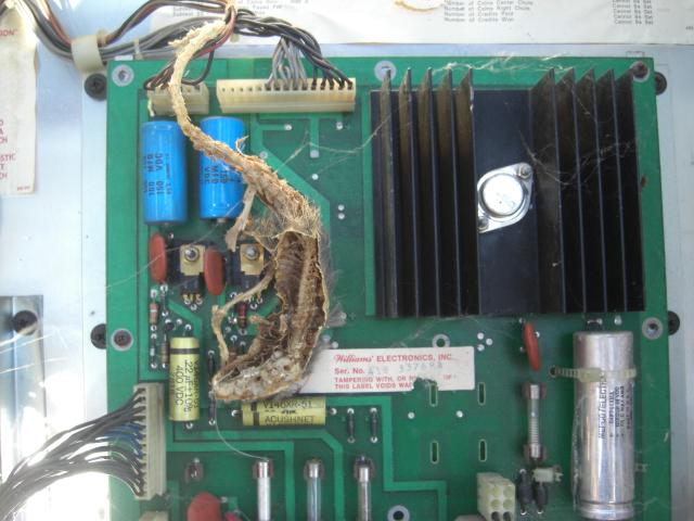 CIMG6968.JPG
