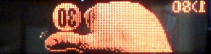 Capture005.jpg