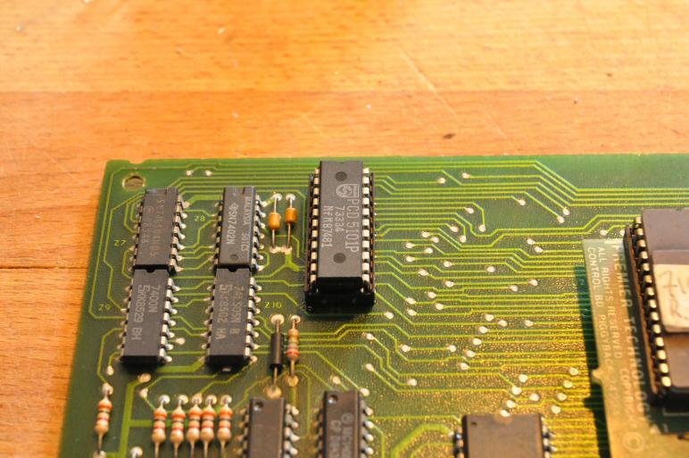 DSC-1896-1.JPG