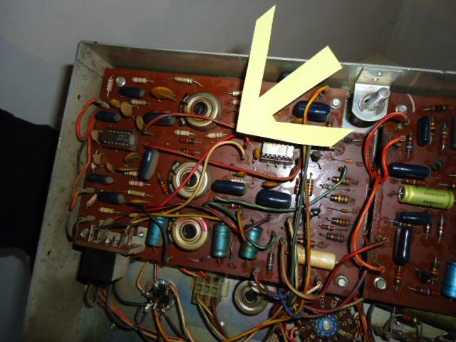 DSC00227-1.JPG