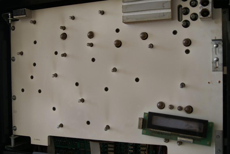 DSC01108-Copier-.JPG