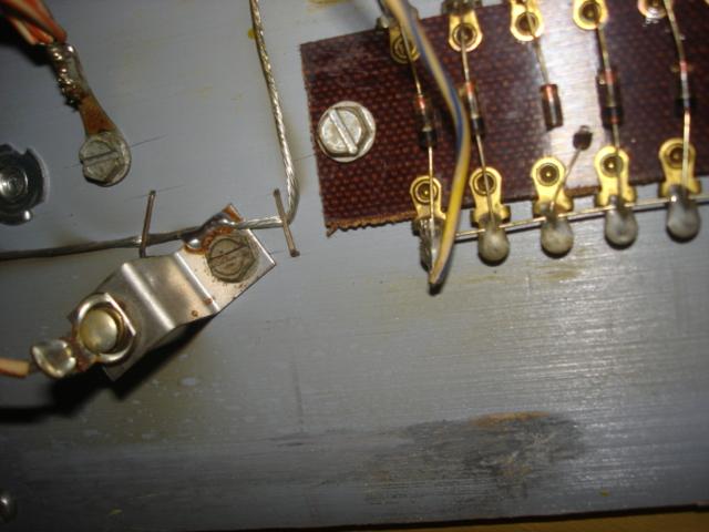 DSC01713-2.JPG