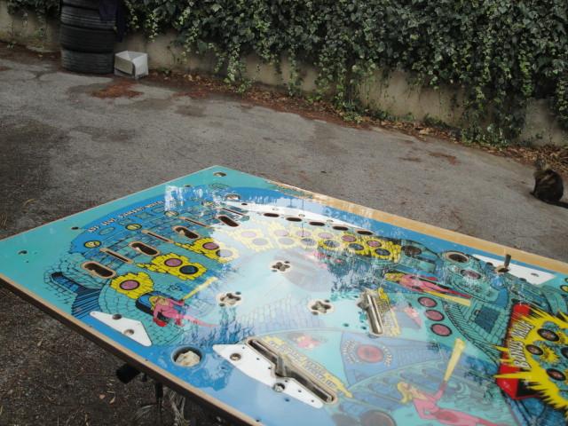 DSC02642-1.JPG