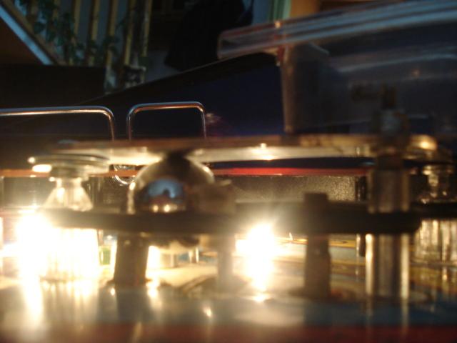 DSC05223-1.JPG