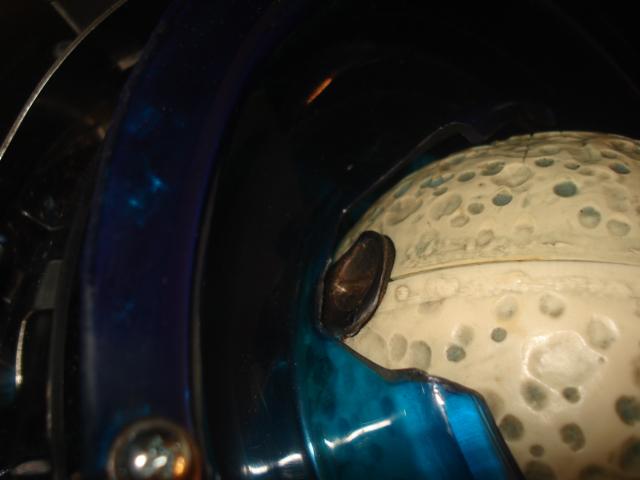 DSC05686.JPG
