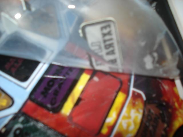 DSC06011.JPG