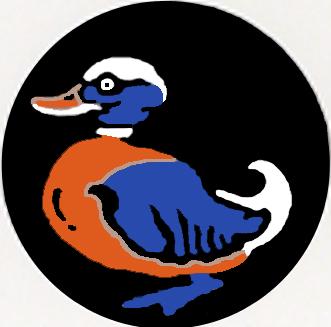 DuckTarget2.jpg