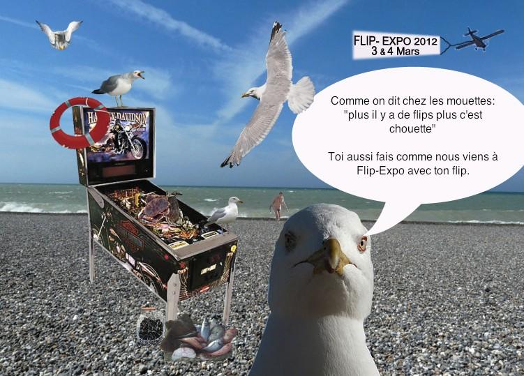 Flip-expo-2012-bring-your-pinball-3.jpg