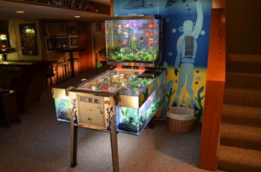 Flipper-aquarium.jpg