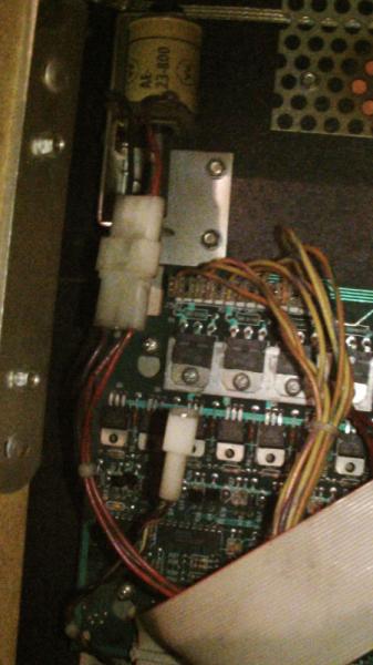 IMAG0195web.jpg