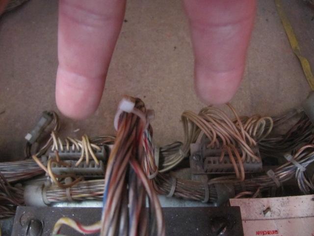 IMG-1447-1.JPG