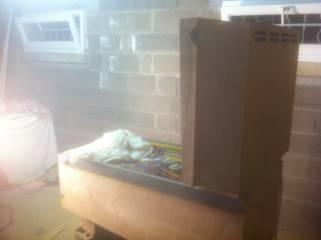 IMG-3355-FILEminimizer-.JPG