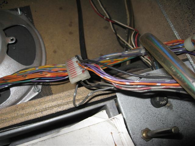 IMG-4456.JPG