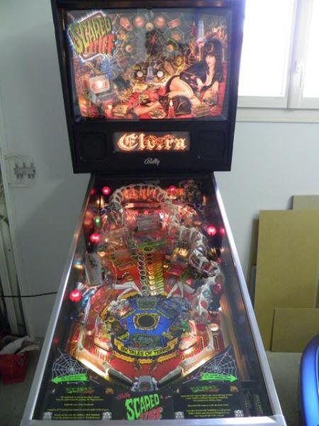 PB201163-1.JPG