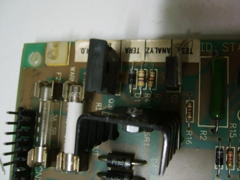 S6000530.JPG