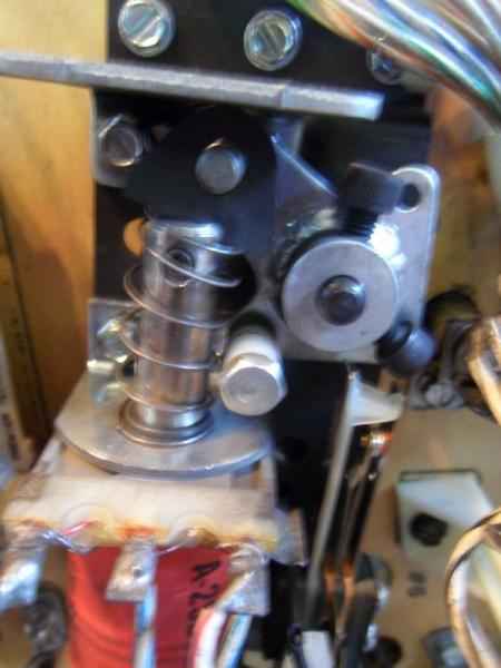 SDC13871.jpg