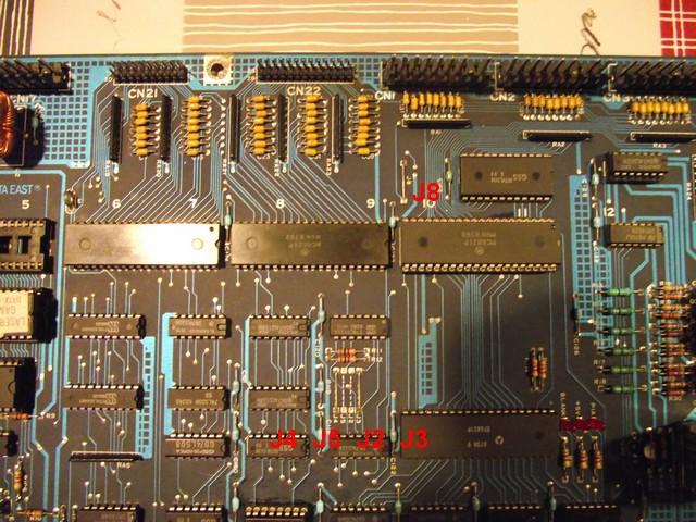 alflalou-02.JPG