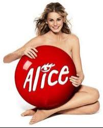 alice.jpg