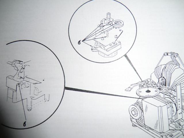 ami-rowe-023.jpg