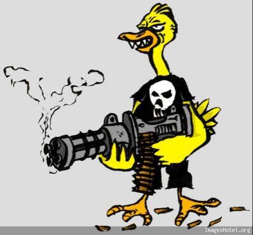 canard-punisher-1-.jpg