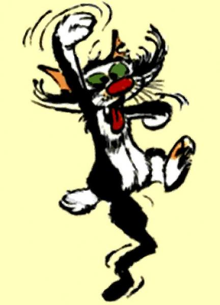 chat-debile.jpg