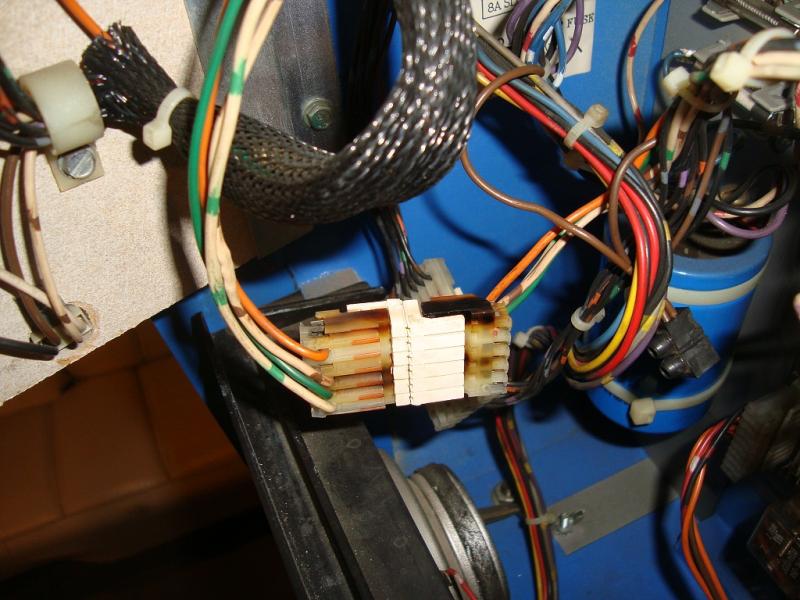 divers-fin-2011-049.JPG