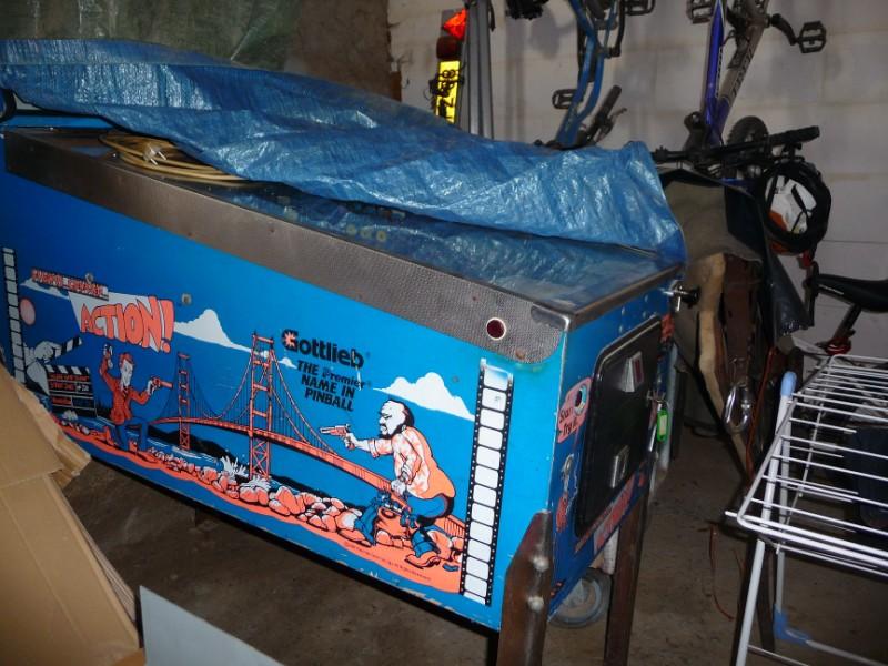 flipper-006-800x600-.jpg