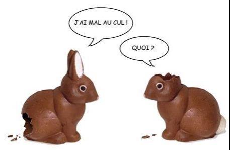 lapin-paques.jpg