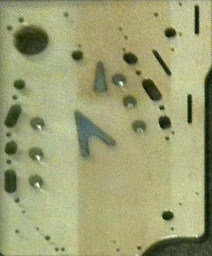 ozinserts36.jpg