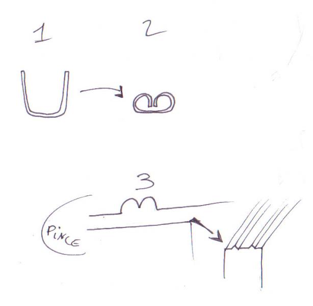pince-1.jpg