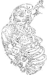 slady-2.gif