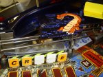 DSC00960.JPG