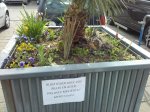 20170401_160211.jpg