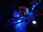 IMG-20170527-00712.jpg