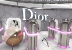 Dior-Flipper3.jpg