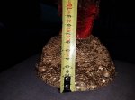 20170709_150939.jpg