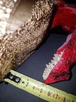 20170709_150959.jpg