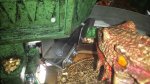 20170911_175920.jpg