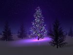 noel2017Rp.jpg