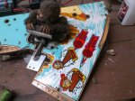 IMG-20171217-01633.jpg