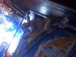 IMG-20180111-01767.jpg