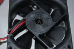 DSC_0461.JPG