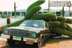 cactus.jpg