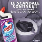 canard.jpg