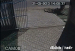 wheel barrow.gif