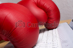 gant_boxe.png