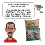 arnaque.jpg
