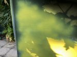 IMG_1045.jpg