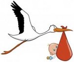 cigogne.jpg