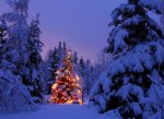 joyeux-noel-9-jpg.jpg